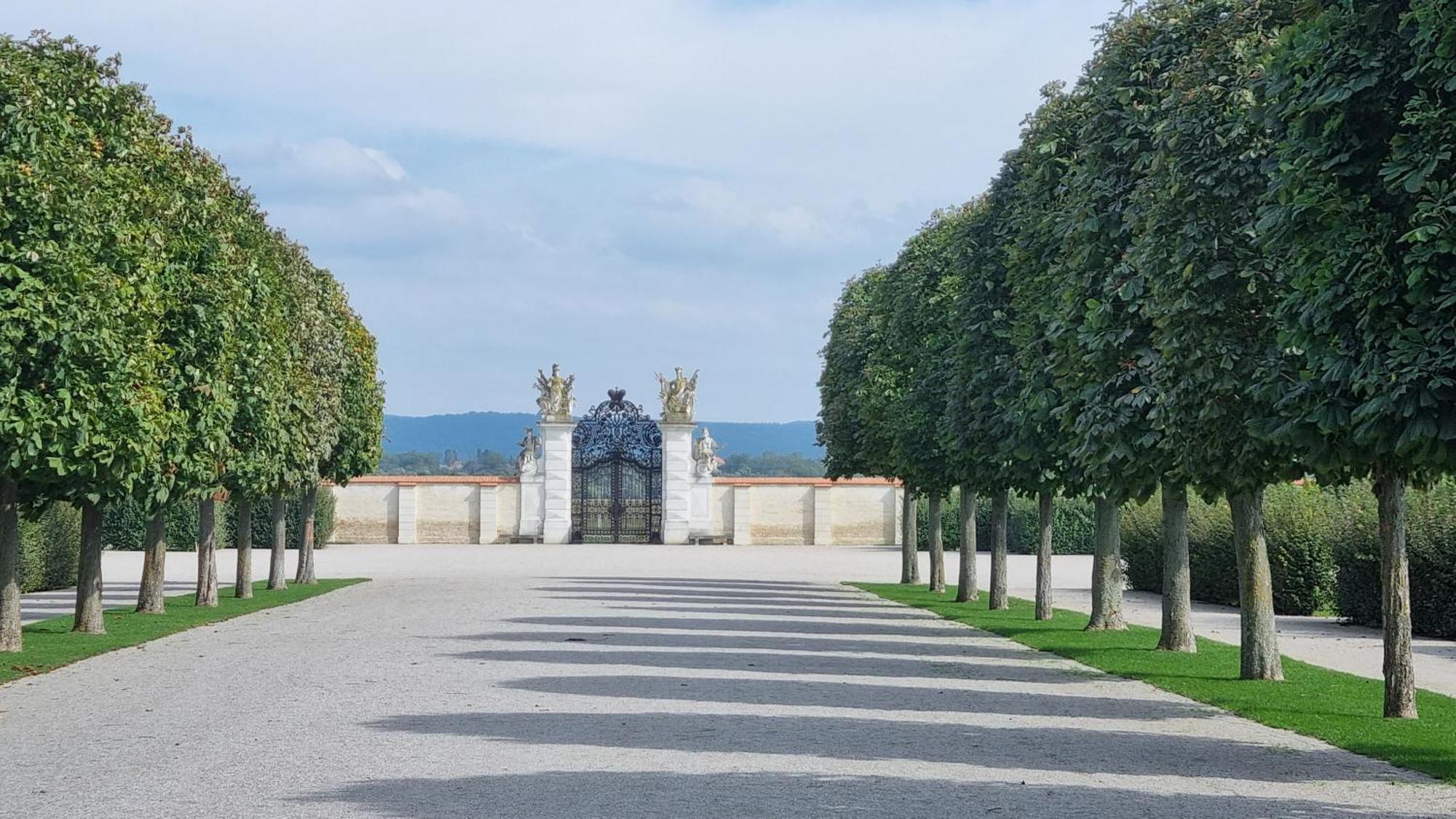 Birkenhof Gols - B & B - Wohlfuehl Hotel Mit Wochenend-Restaurant ภายนอก รูปภาพ