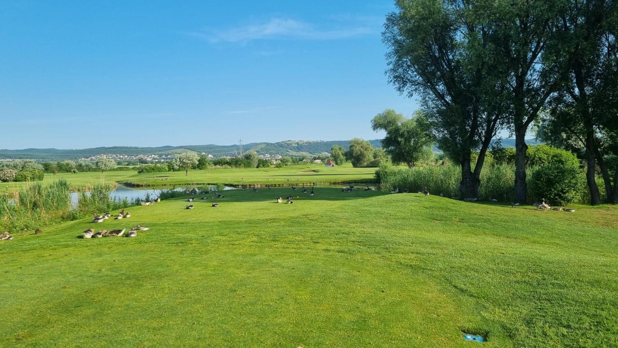 Birkenhof Gols - B & B - Wohlfuehl Hotel Mit Wochenend-Restaurant ภายนอก รูปภาพ